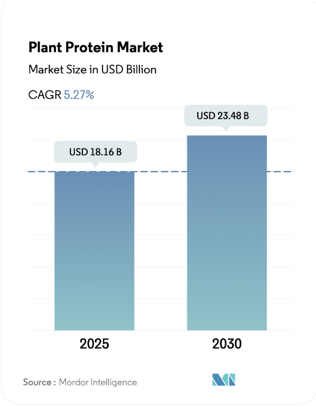 Market Growth Chart